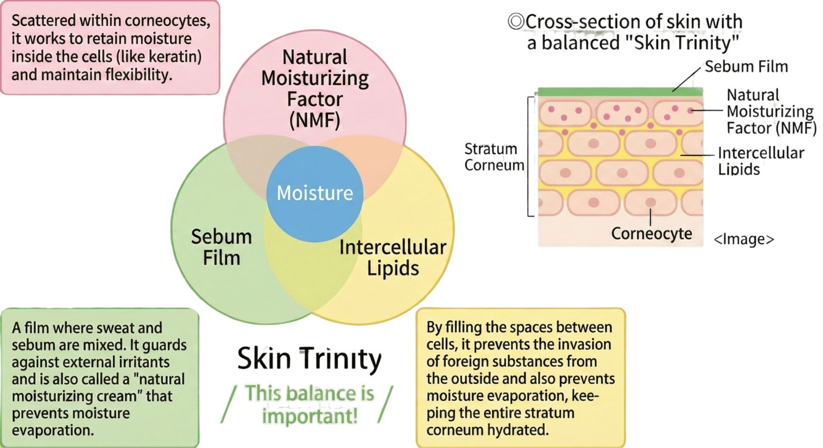 This balance is important!